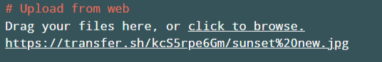 Transfer.sh Upload File Files URL